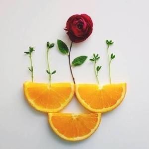 Meet your Posher, Jane